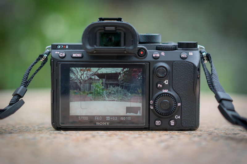 Illustration for article titled Sony A7R III Review: The New King of Mirrorless Cameras